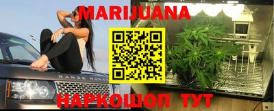 сатива Славгород