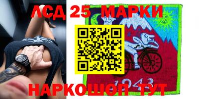 сатива Славгород