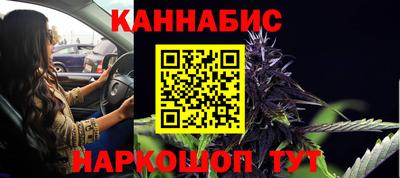 сатива Славгород