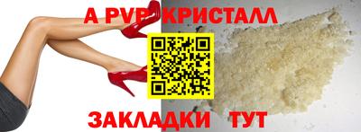 сатива Славгород