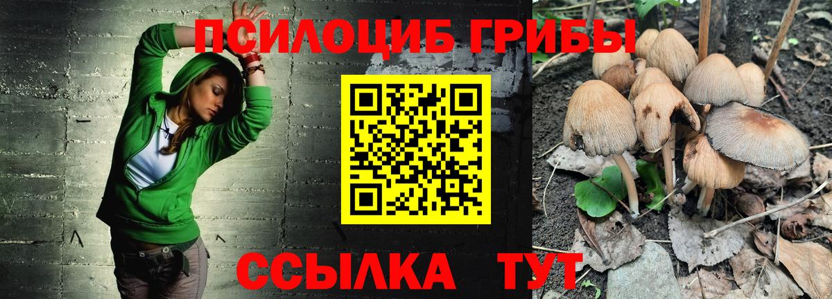 купить   Вход с VPN  Нурлат  Галлюциногенные грибы ЛСД 
